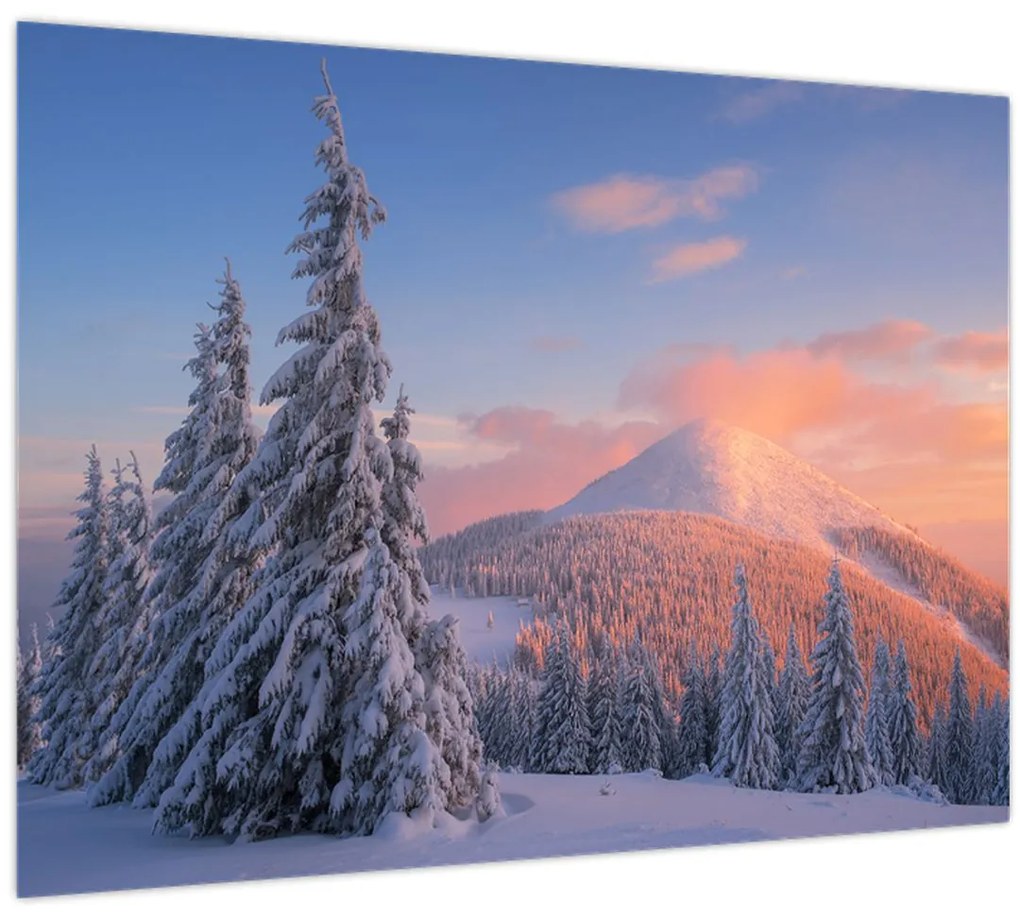Obraz - Zimná krajina (70x50 cm)