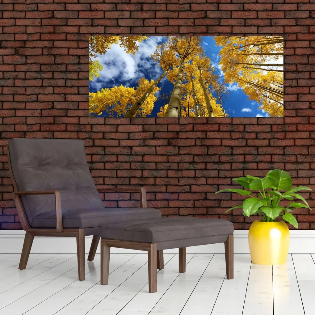 Obraz - Aspen (120x50 cm)