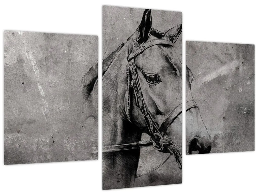 Obraz - Portrét koňa (90x60 cm)