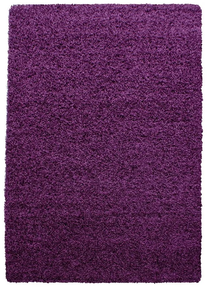 Tmavofialový koberec 80x150 cm Life – Ayyildiz Carpets