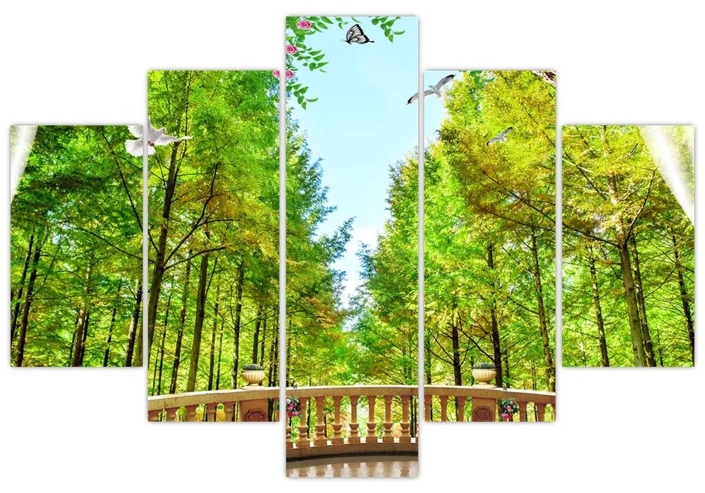 Obraz - Výhľad na les (150x105 cm)
