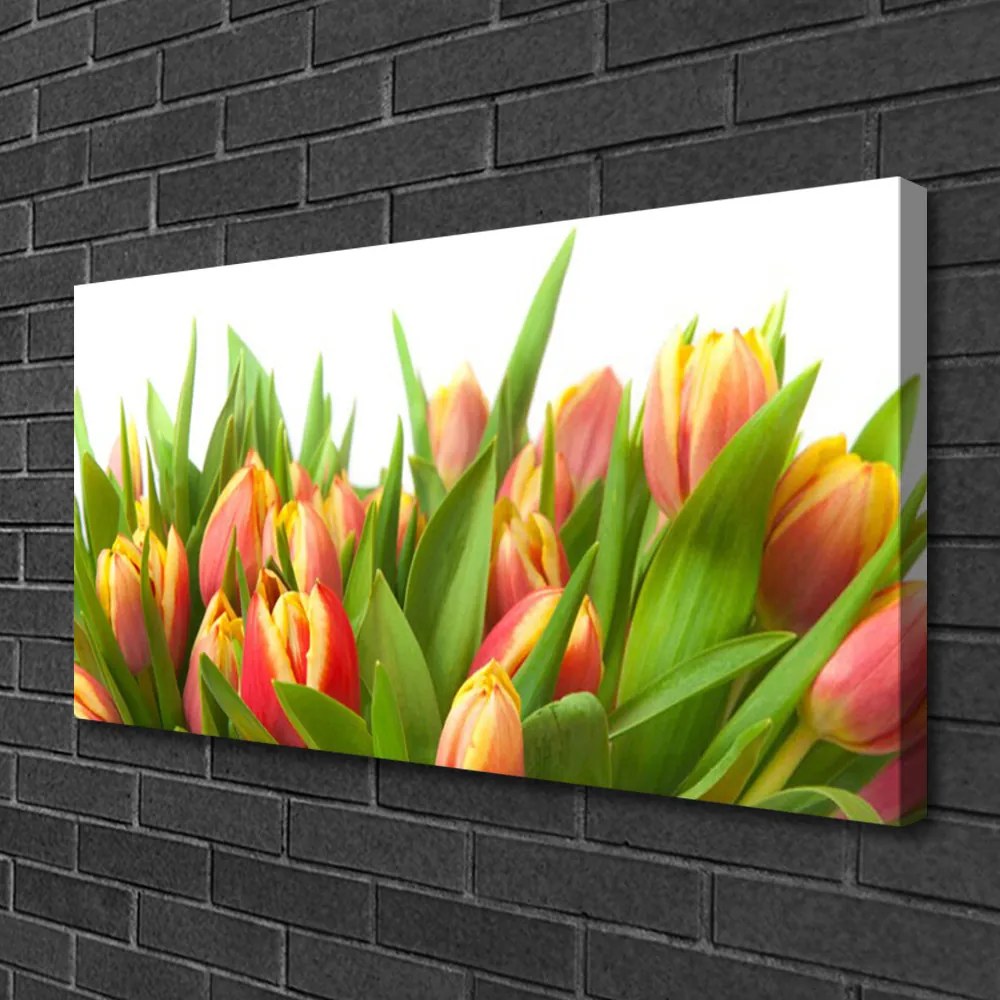 Obraz Canvas Tulipány kvety rastlina 125x50 cm