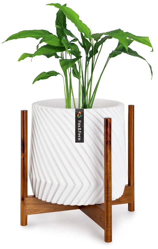Fox & Fern Zeist, stojan na rastliny, 2 výšky, kombinovateľný, zásuvný dizajn, prírodný