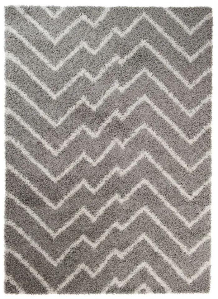 Kusový koberec Shaggy Haris šedý 2, Velikosti 120x170cm
