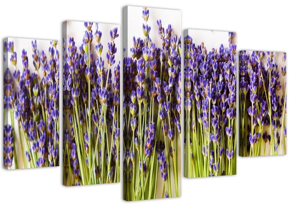 Gario Obraz na plátne Lavender - 5 dielny Rozmery: 150 x 100 cm