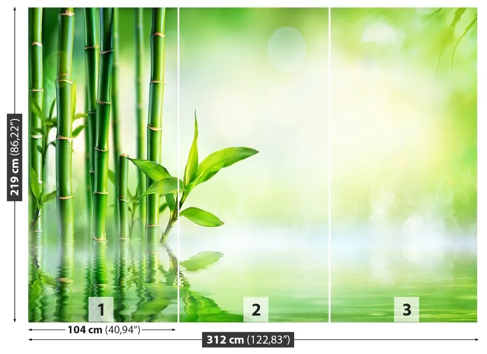 Fototapeta Vliesová Bambusová voda 208x146 cm