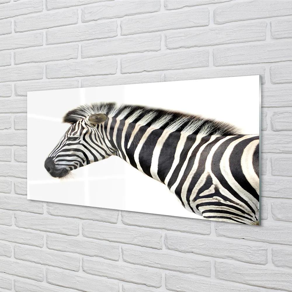 Obraz na akrylátovom skle Zebra 100x50 cm