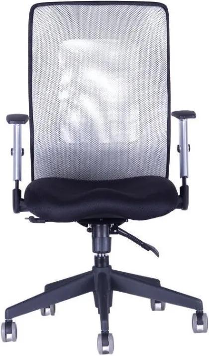 OFFICE PRO -  OFFICE PRO Kancelárska stolička CALYPSO GRAND BP sivá svetlá