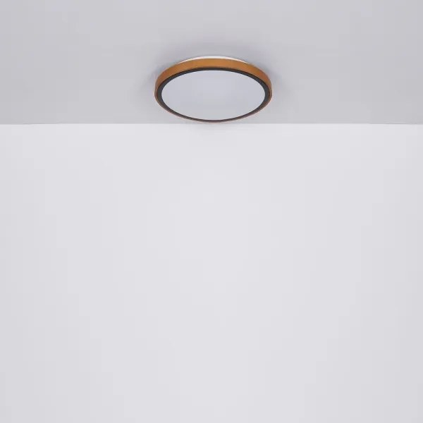 Globo 41764-12 - LED Stropné svietidlo BRUNO LED/12W/230V 307 mm 3000/4500/6000K