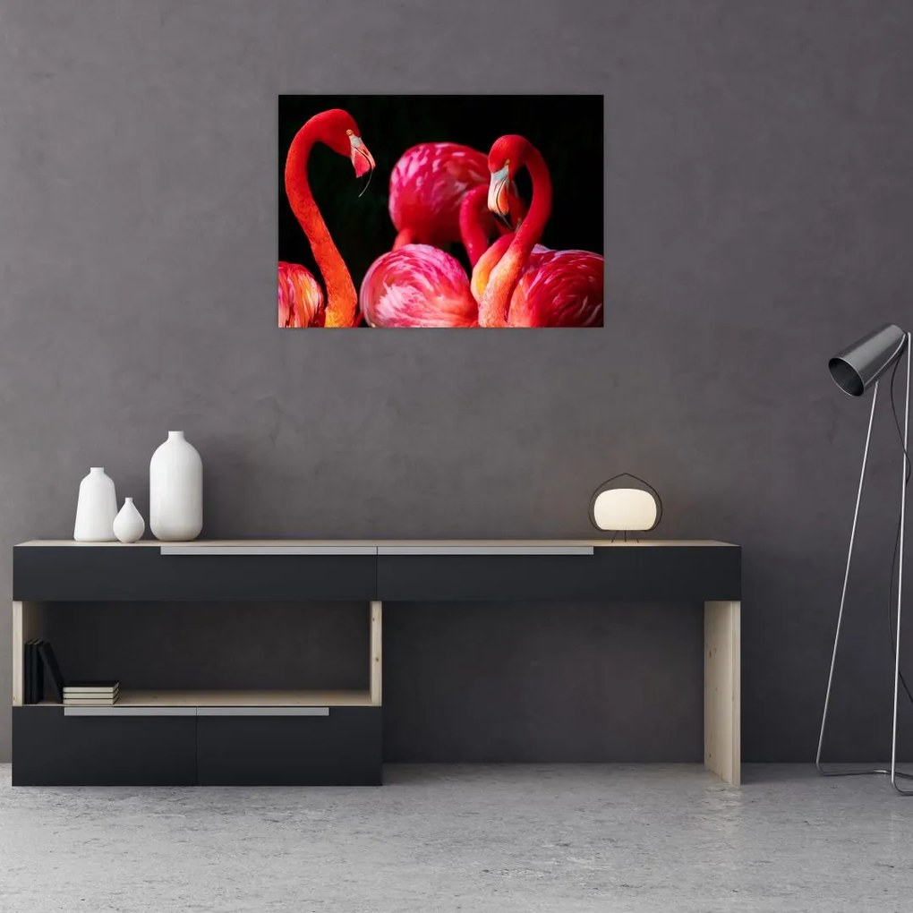 Sklenený obraz červených plameniakov (70x50 cm)