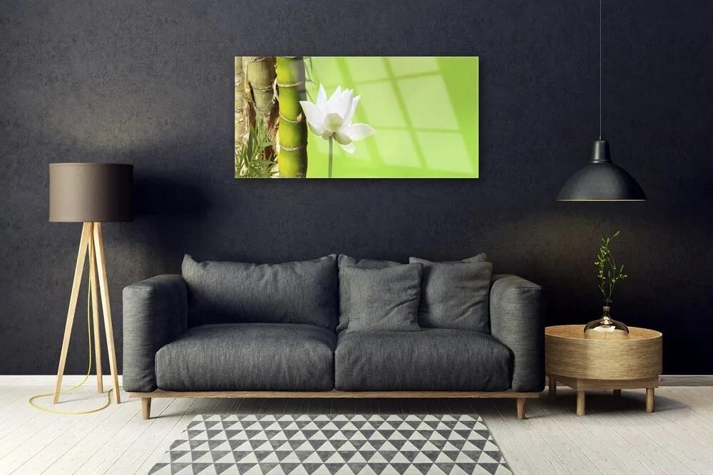 Skleneny obraz Bambus stonka rastlina príroda 120x60 cm