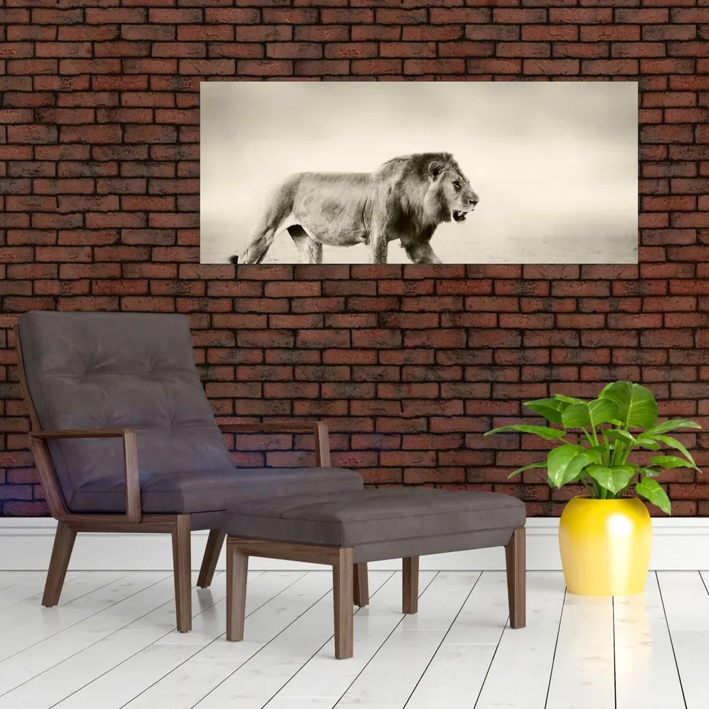 Obraz - Hladný lev (120x50 cm)