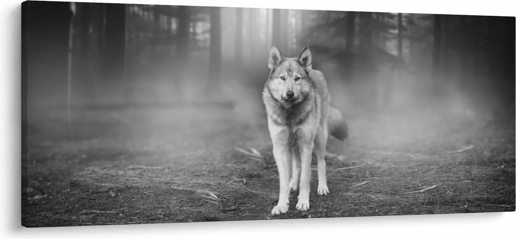 Obraz - Strážca lesa, čiernobiely (120x50 cm)