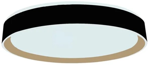 LED Stmievateľné stropné svietidlo s hlasovým ovládaním OPAL LED/48W/230V + DO