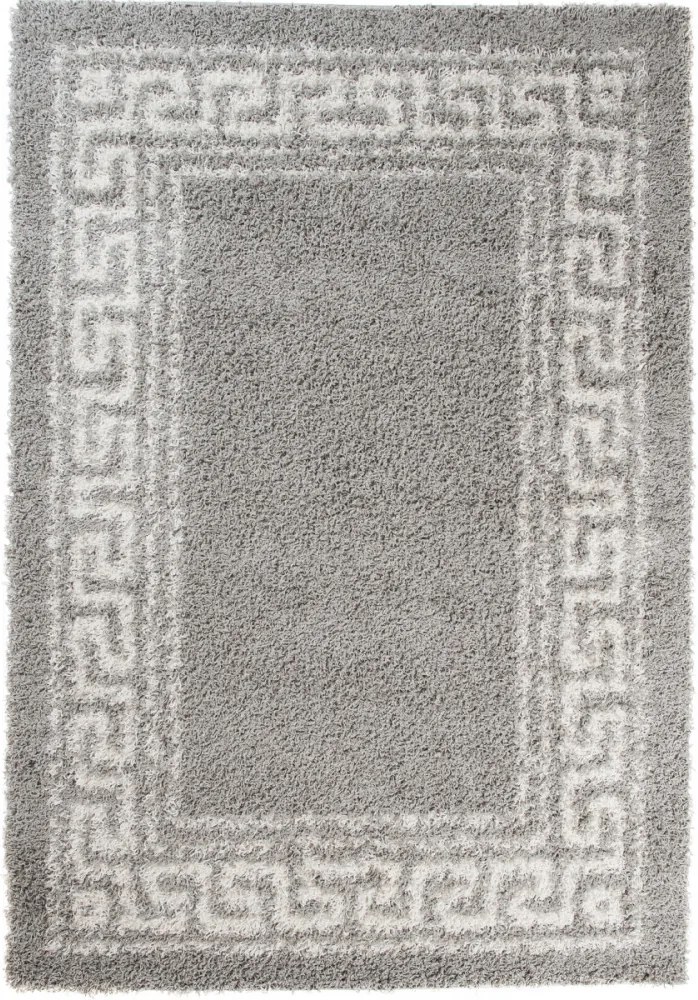Kusový koberec Shaggy Greece svetlo sivý, Velikosti 140x200cm