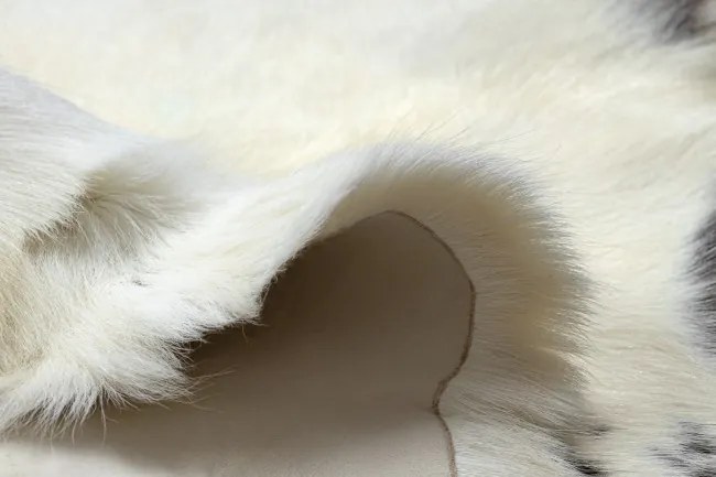 Koberec RENIFER POK007 krémový / sivý