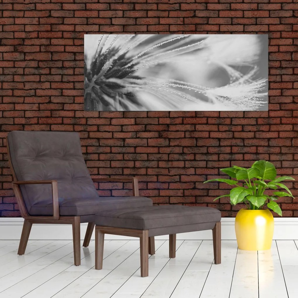 Obraz - Púpava (120x50 cm)