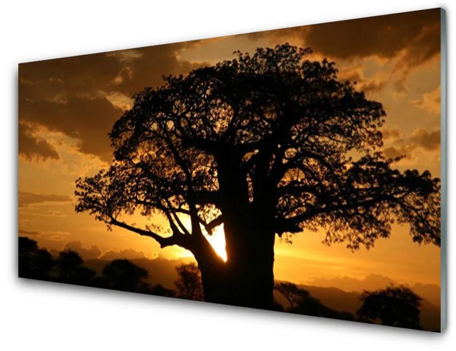 Obraz na skle Strom príroda 125x50 cm