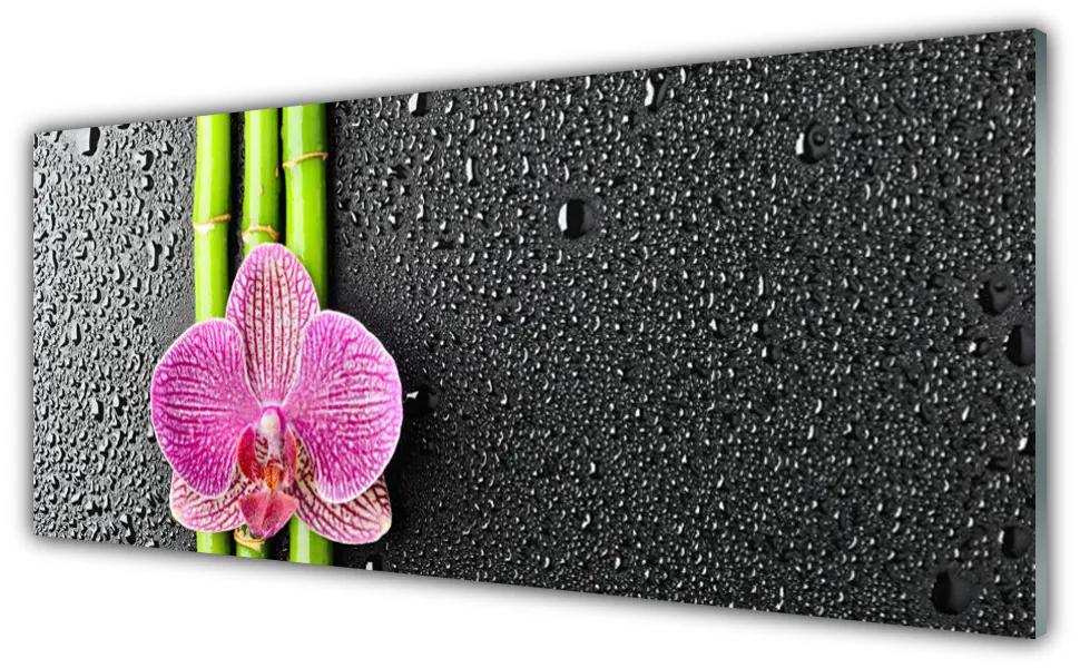 Obraz plexi Bambus kvet rastlina príroda 125x50 cm