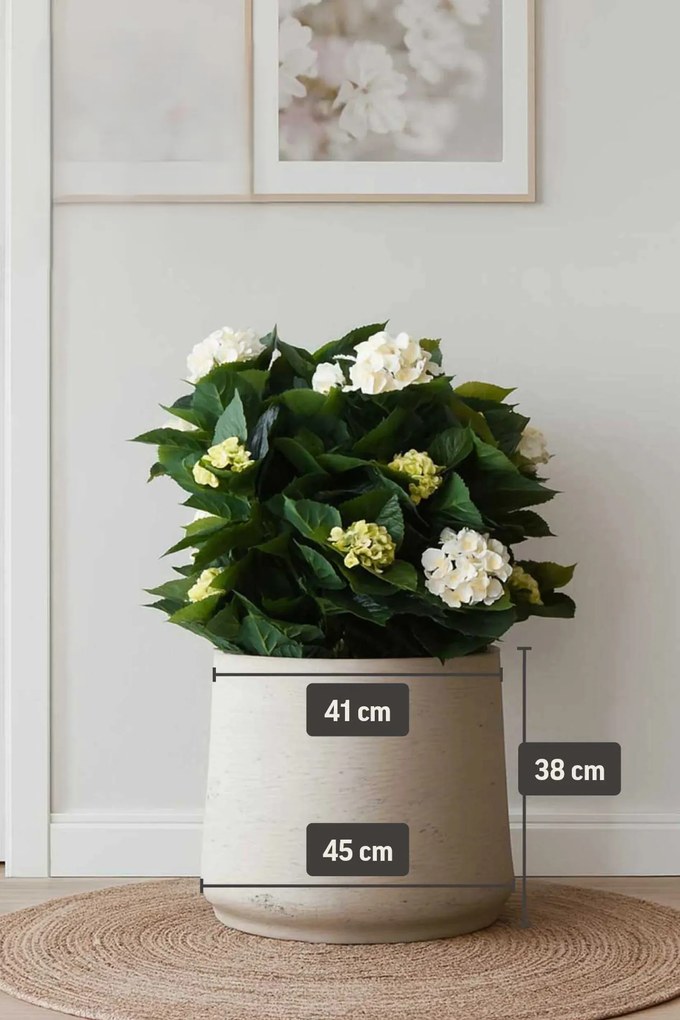 Kvetináč TROPICO, sklolaminát, výška 38 cm, béžová