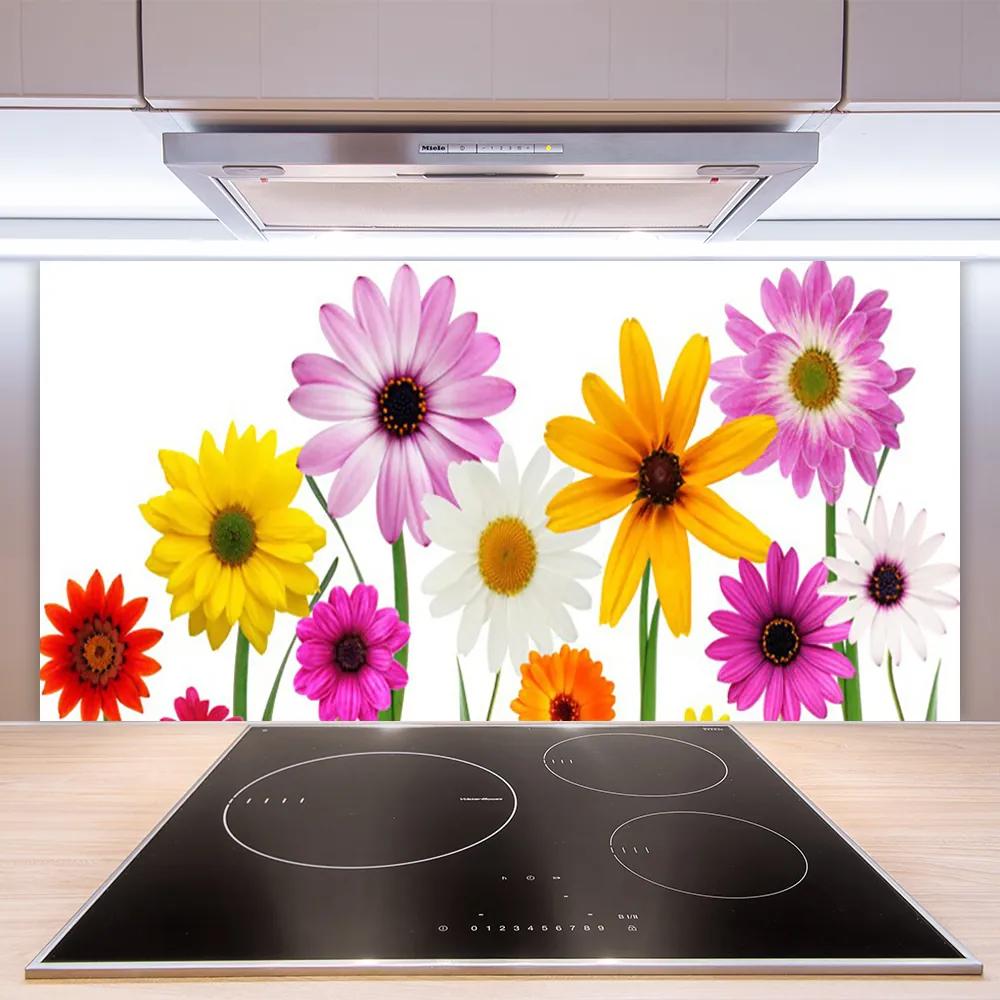 Sklenený obklad Do kuchyne Farebné kvety príroda 120x60 cm