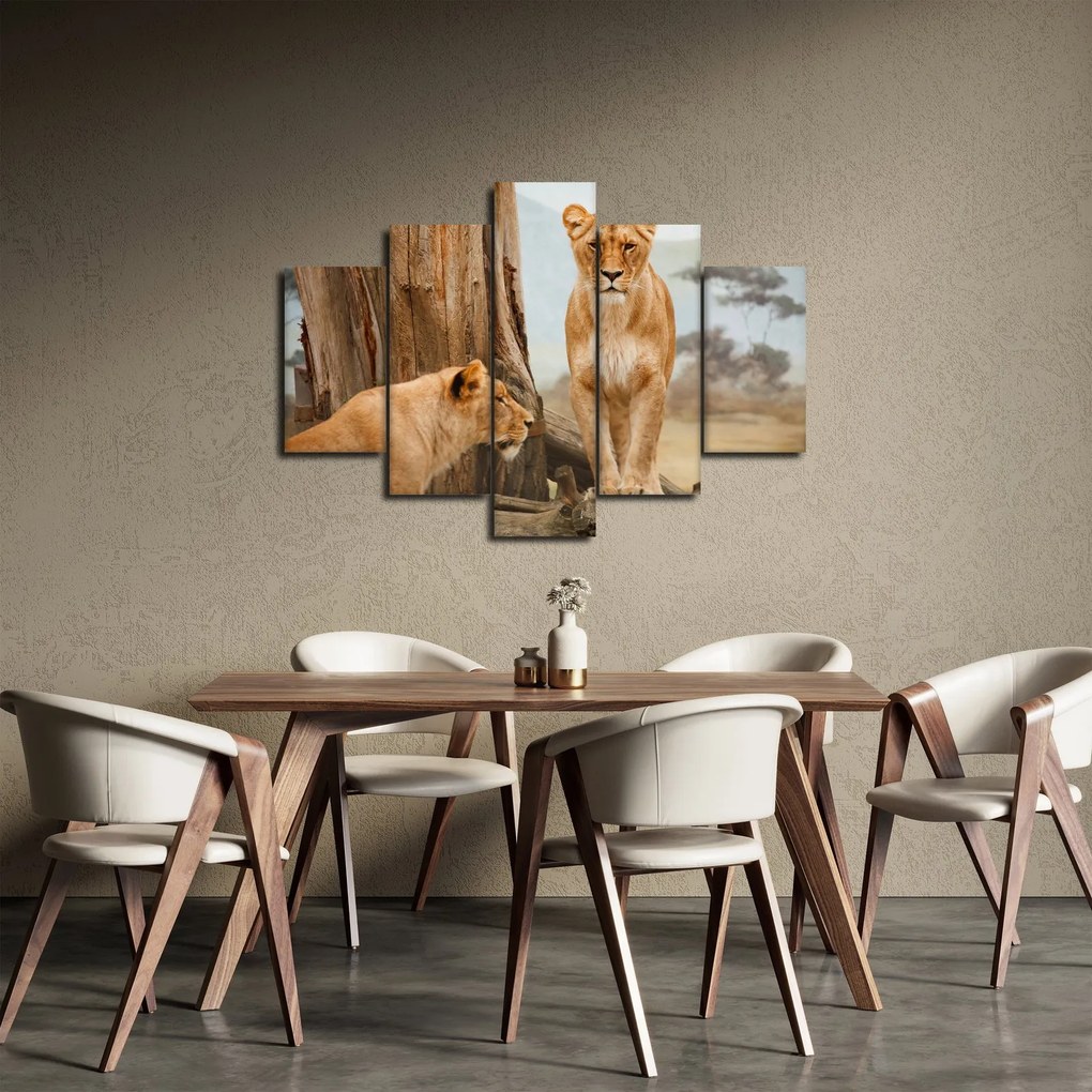 Obraz - dve levice (150x105 cm)