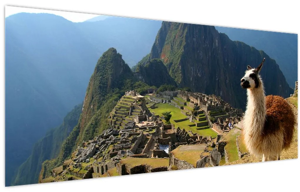 Obrázok - Lama a Machu Picchu (120x50 cm)