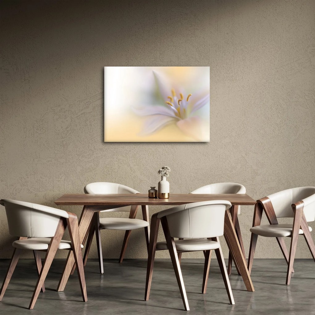 Obraz - Jemný kvet (70x50 cm)