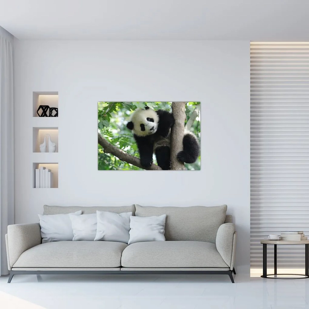 Obraz - Panda na strome (90x60 cm)