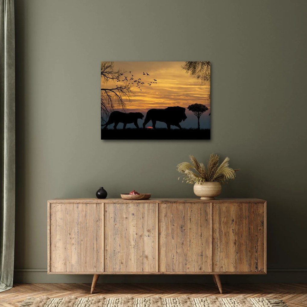 Obraz Safari (70x50 cm)