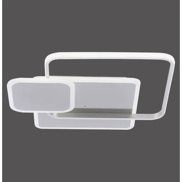 Paul Neuhaus 8319-55 - LED Stmievateľné stropné svietidlo EMILIO LED/53W/230V + DO