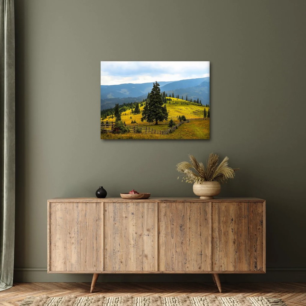 Obraz - Horská lúka (70x50 cm)