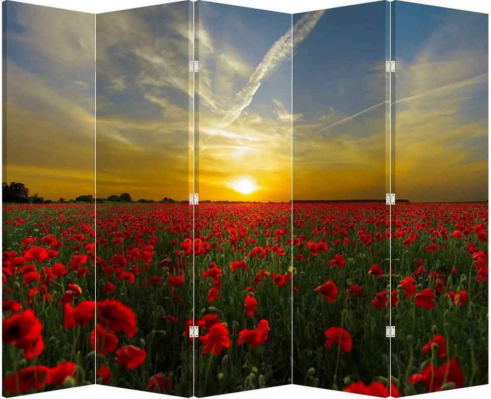 Paraván - Pole vlčích makov (210x170 cm)