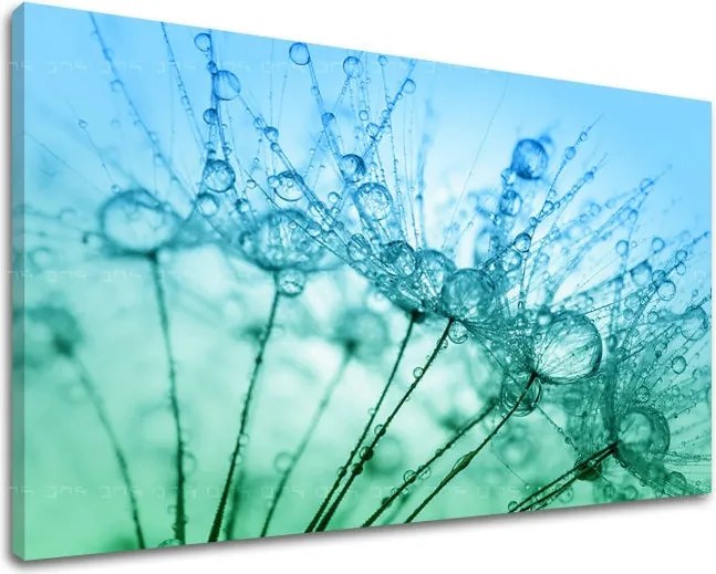 Obraz na stenu KVETY KV061E11 - 80x120 cm