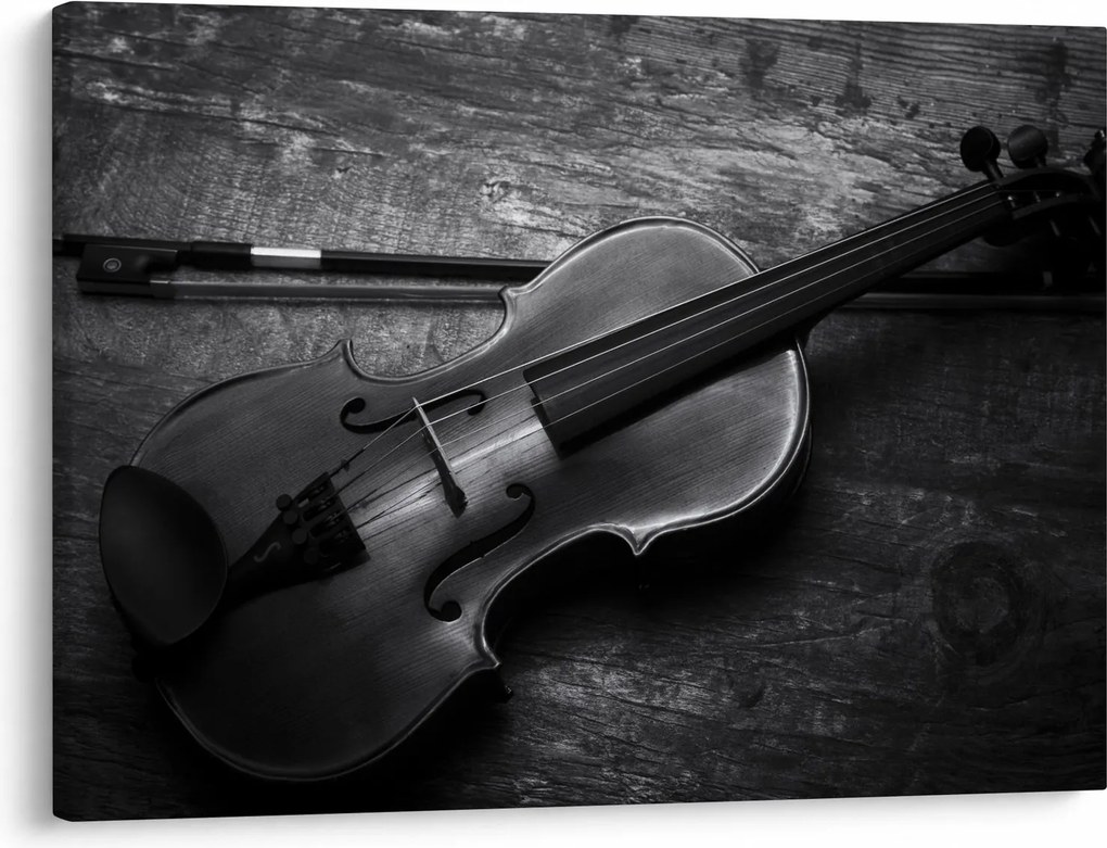 Obraz - Viola (70x50 cm)