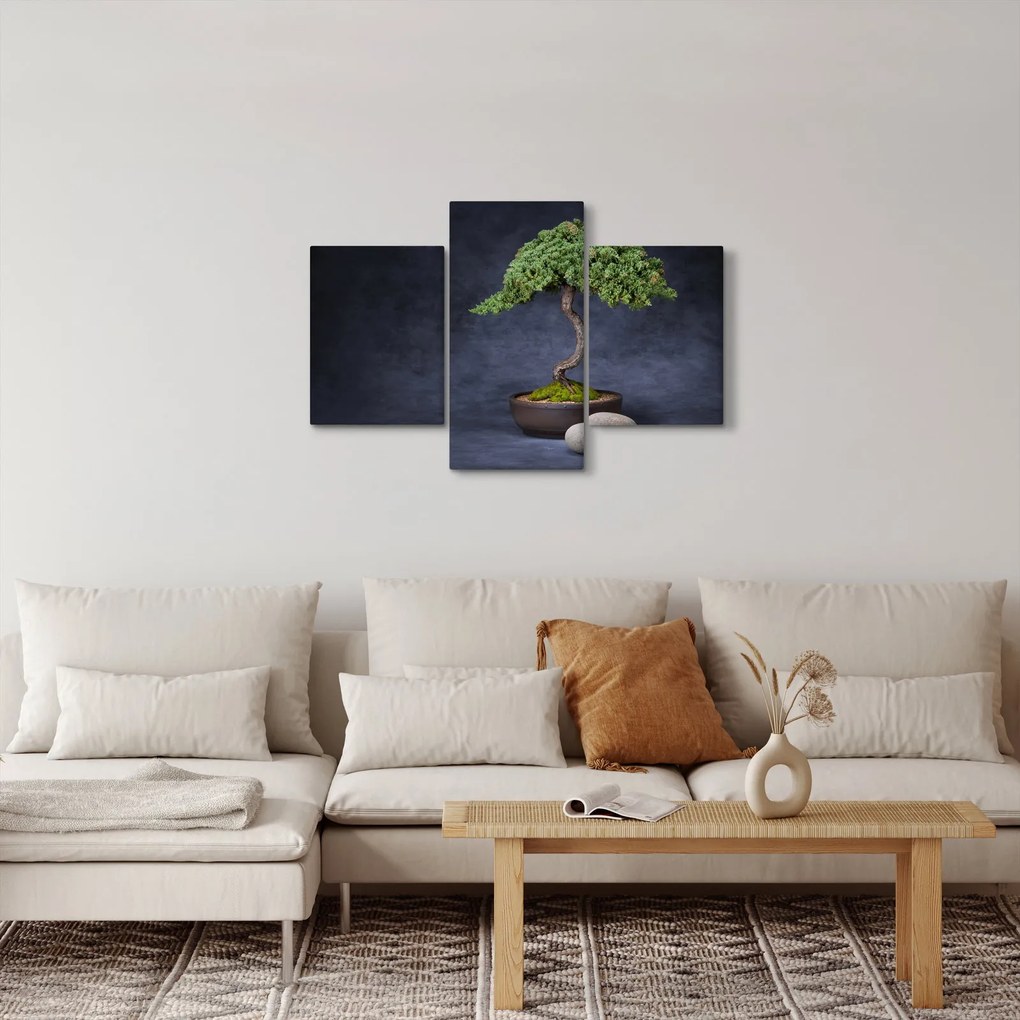 Obraz - Bonsai (90x60 cm)