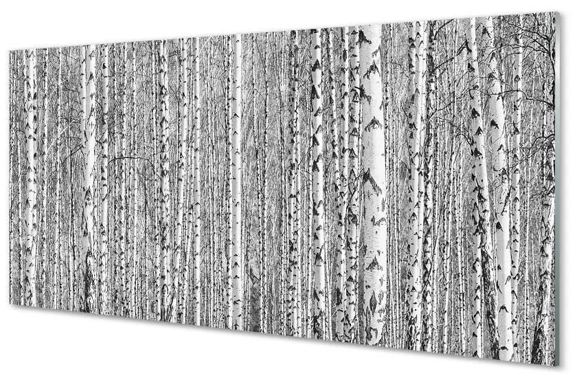 Obraz plexi Čierna a biela strom les 100x50 cm