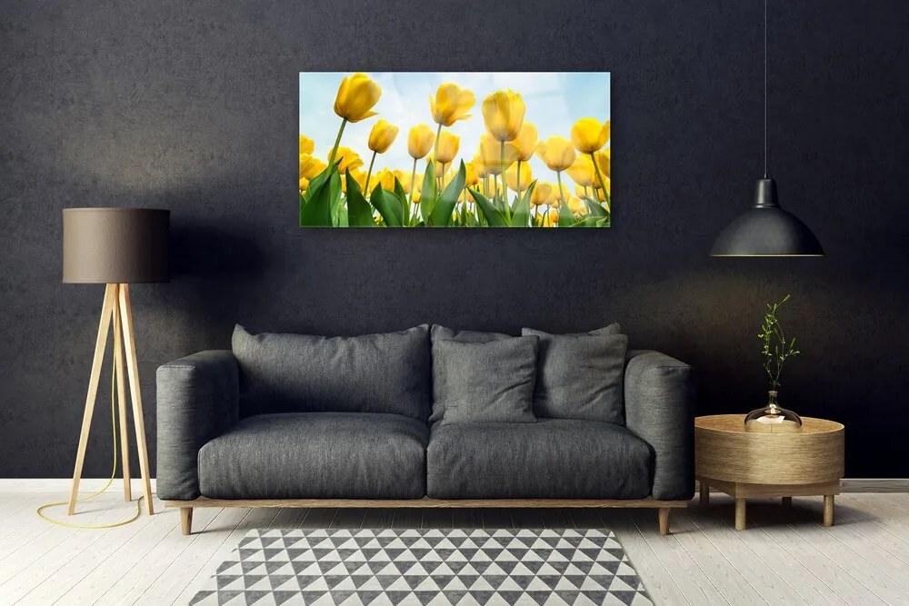 Skleneny obraz Tulipány kvety rastlina 120x60 cm