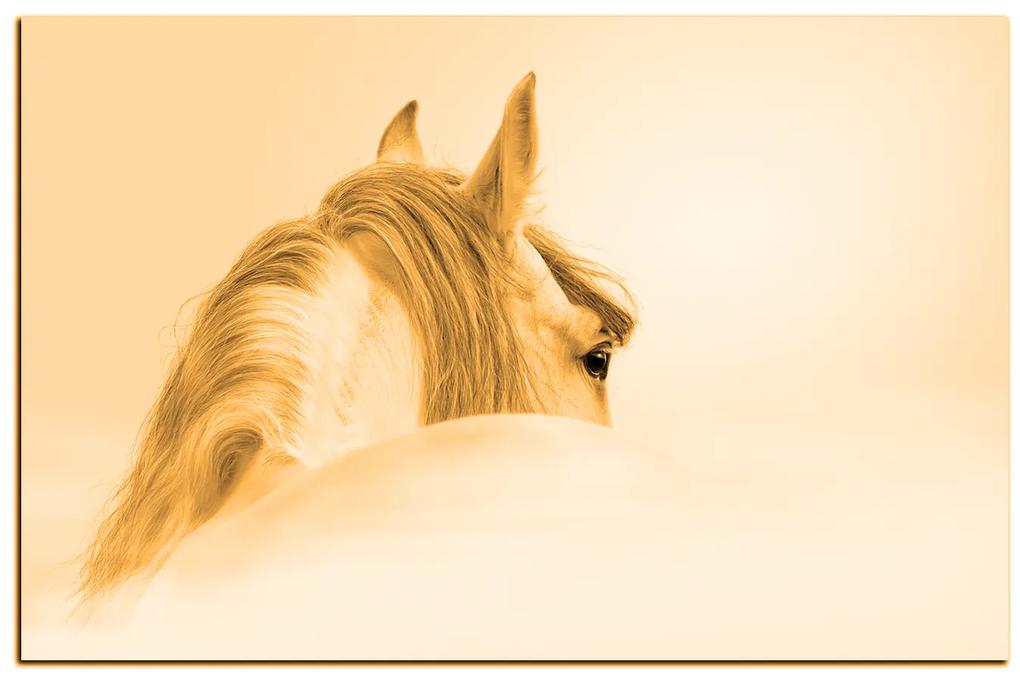 Obraz na plátne - Andalúzsky kôň v hmle 1219FA (75x50 cm)
