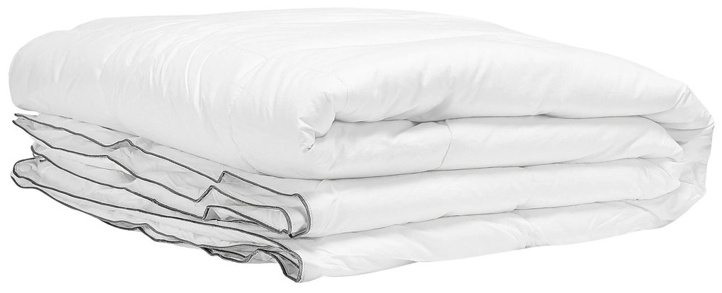 Celoročná posteľná prikrývka z mikrovlákna 200 x 220 cm TELENO Beliani