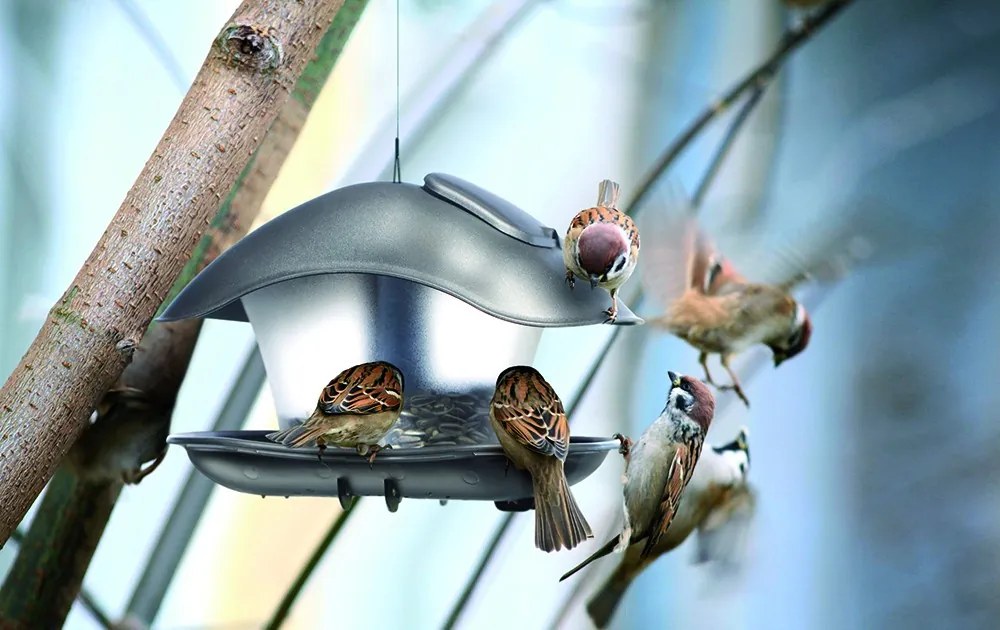 Kŕmidlo pre vtáčikov BirdieFood 24,8 cm antracit