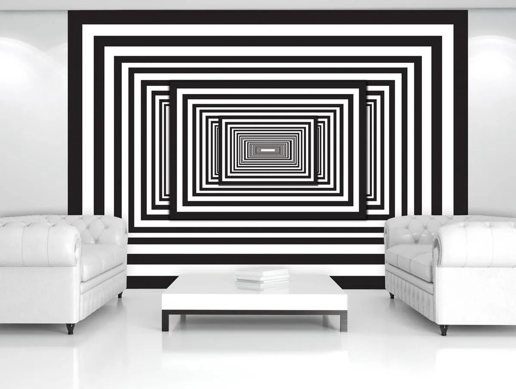 Fototapeta - Biely a čierny 3D tunel (254x184 cm)