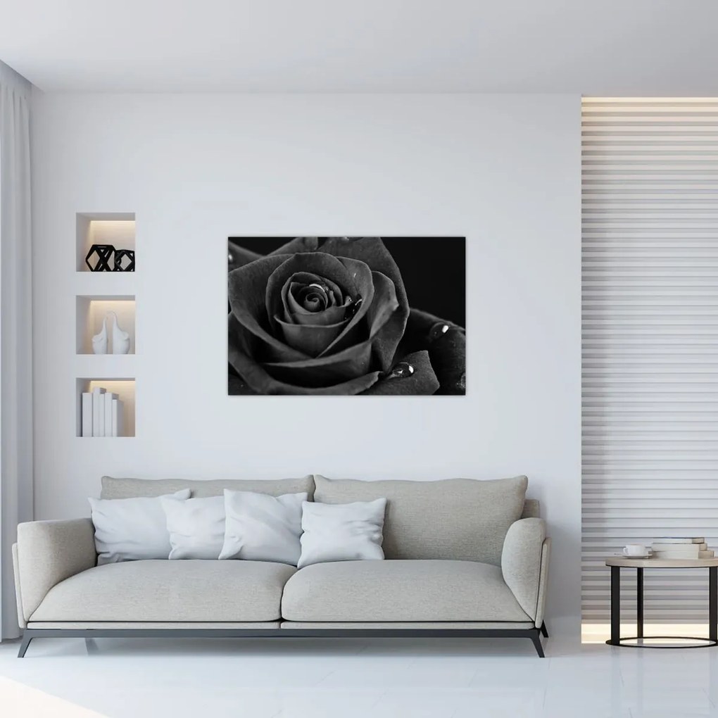 Obraz - Červená ruža (90x60 cm)