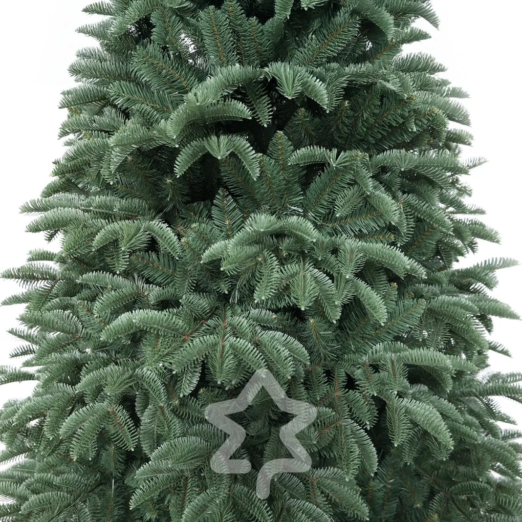 Smrek Oregon extra hustý 240 cm