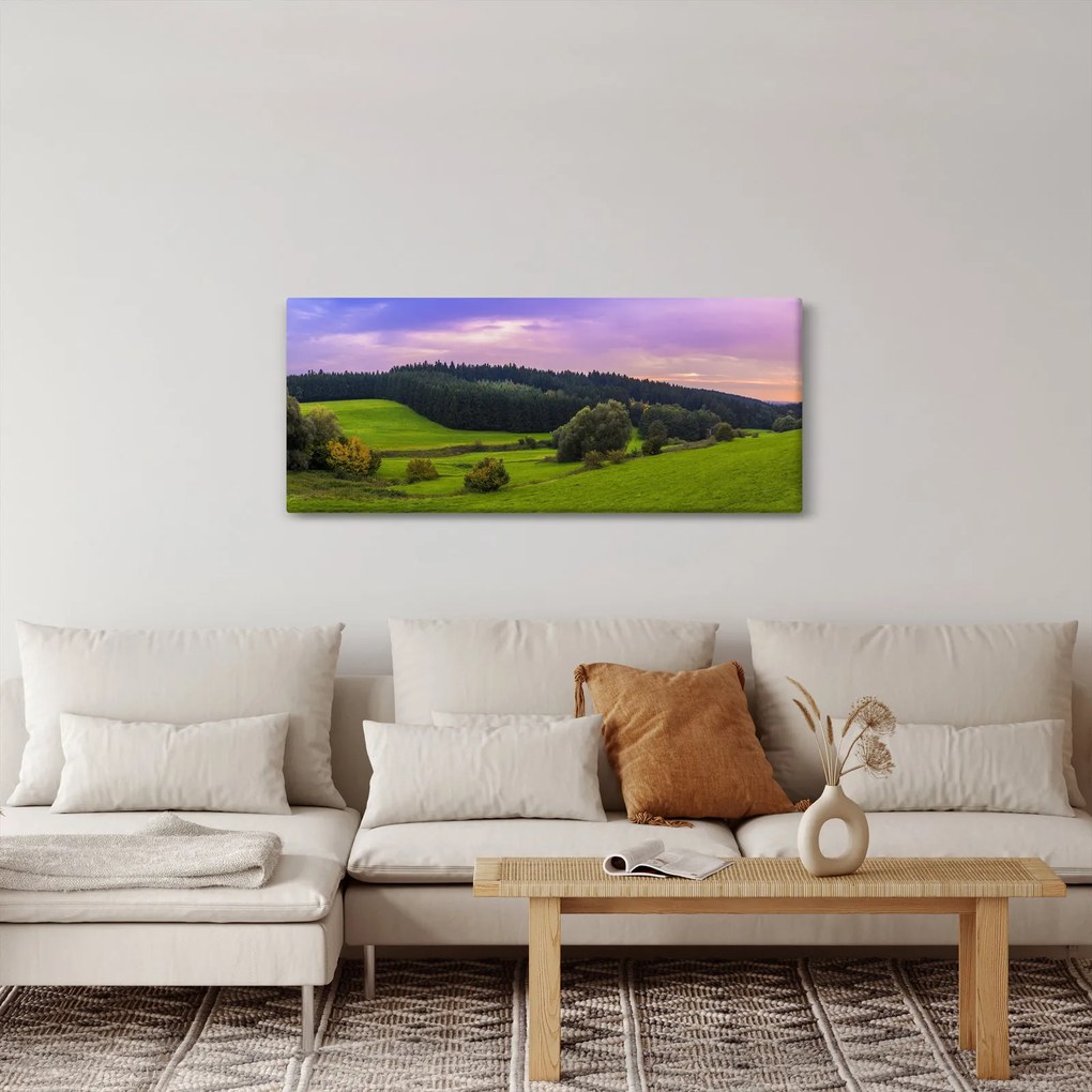 Obraz lúky (120x50 cm)