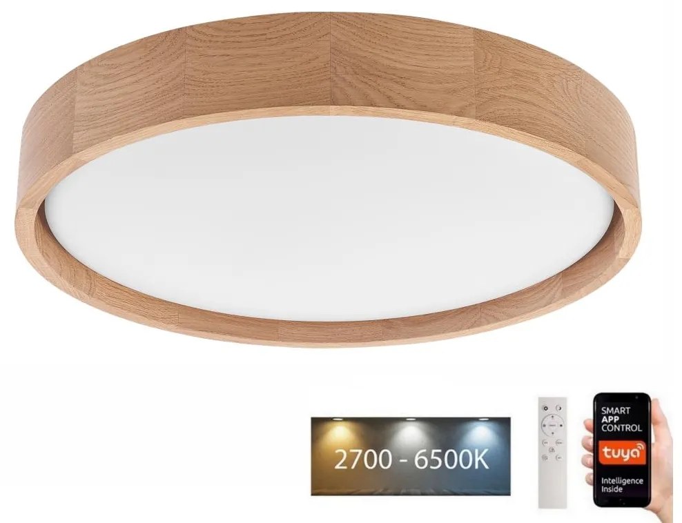 Brilagi - LED stropné svietidlo MANAROLA SMART LED/24W/230V + DO Tuya