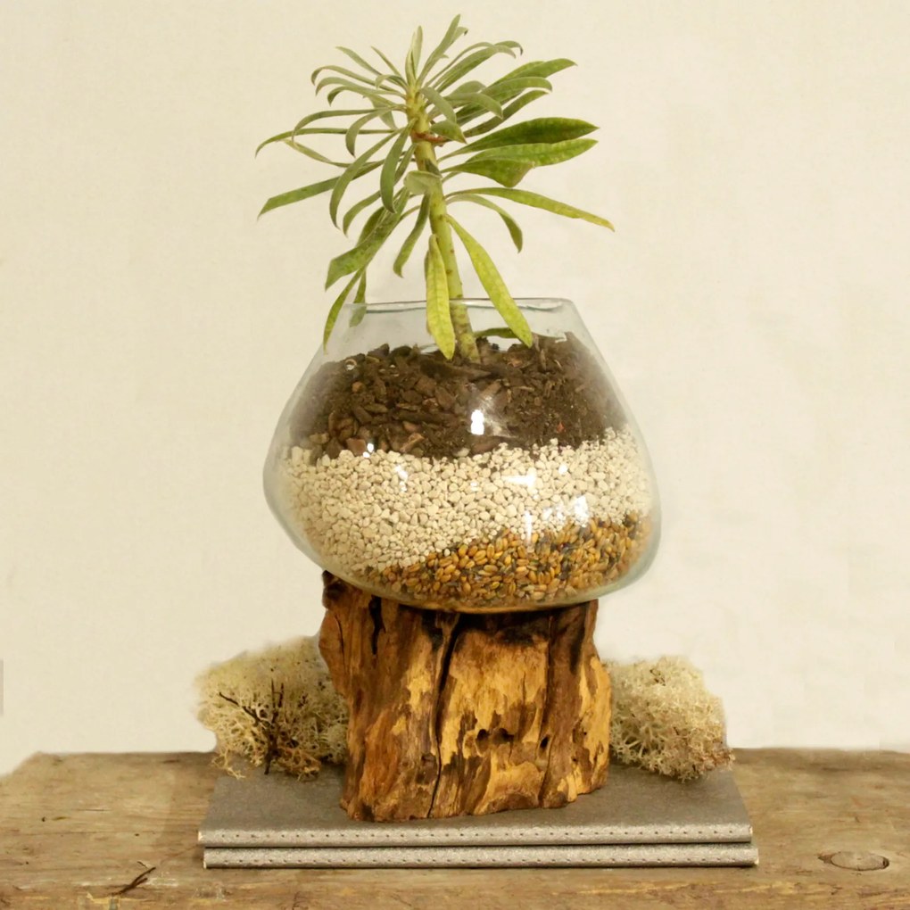 Roztavené sklo na dreve - Veľká misa