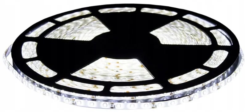 ECOLIGHT LED pásik - SMD 5050 - 50m - 14,4W/m - IP20 - studená biela