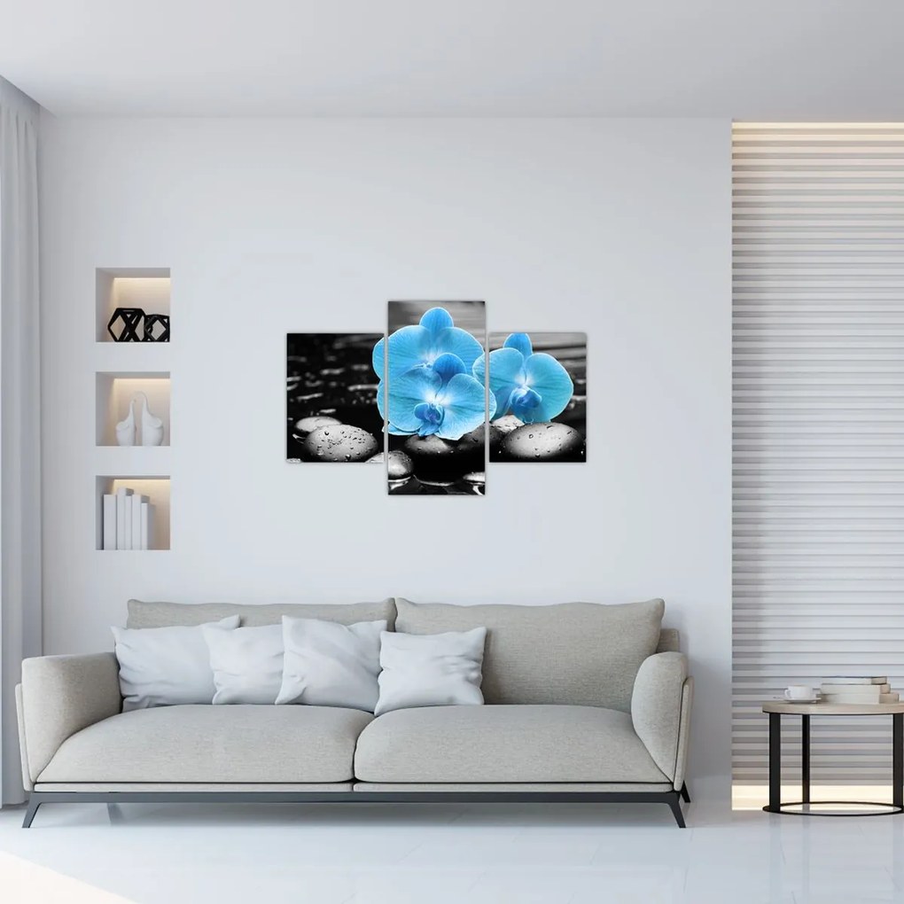 Obraz - Modrá orchidea (90x60 cm)