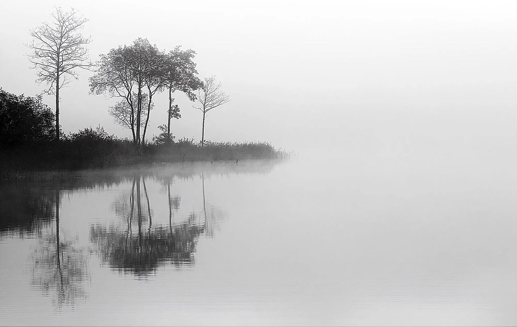 Plátno maľba By the Lake I